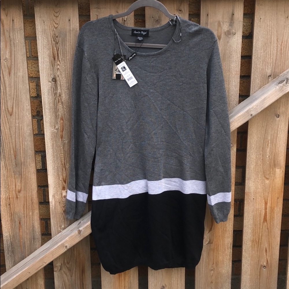 NWT sweater dress